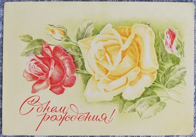 Красные розы в коробке от 81 цветка за 15 190 руб. | Бесплатная доставка  цветов по Москве