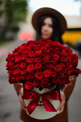 Картинка красивые красные розы - скачать бесплатно с КартинкиВед