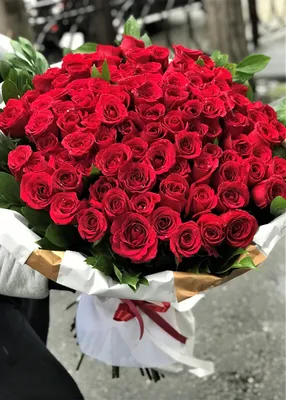 Красивые розы с днем рождения - 77 фото