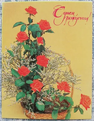 красные розы в черной коробке | С днем рождения, Рождение, Пожелания ко дню  рождения