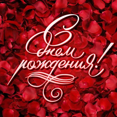 Женская открытка с Днём рождения с красными розами 2024 своими словами в  смс, стихах и прозе