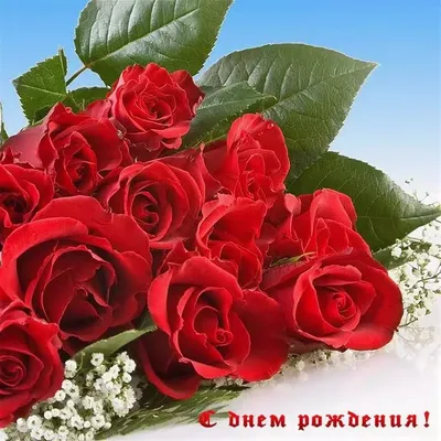 С днём рождения 1984 Красные розы в корзине 7x9 см МИНИ открытка СССР -  День рождения - Интернет-магазин. Новогодние, художественные открытки СССР.