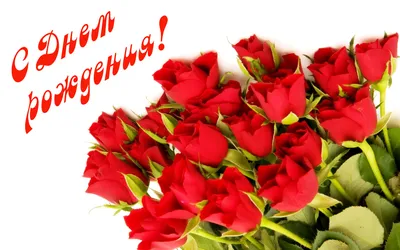 Открытки с розами на день рождения ~ Все пожелания и поздравления на сайте  Праздникоff