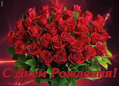 С Днем Рождения Красные Розы Картинки фотографии