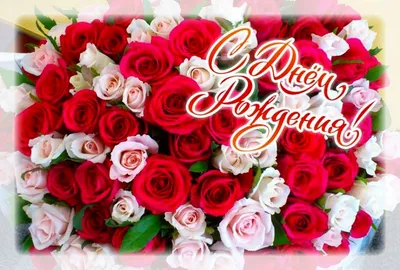 Открытка С Днем Рождения! Красные розы скачать бесплатно