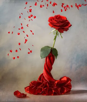 Открытка объемная \"С Днём Рождения!\" красные розы, бежевый фон купить за 28  рублей - Podarki-Market