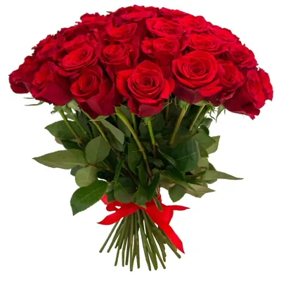 Открытка Алине - красивые красные розы на День рождения