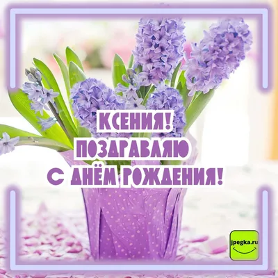 С днём рождения, Оксана Сергеевна! • БИПКРО