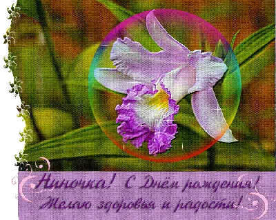 С днем рождения, larochka!!! | Блог Koolinar.ru
