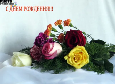 Дорогая Елена, сердечно поздравляю с днем рождения! — Скачайте на Davno.ru