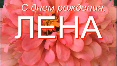 С Днём рождения, Елена! - ГРУППА МИРАЖ - Официальный сайт