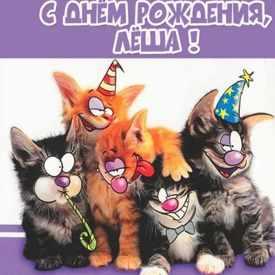 Алексею: открытки с днем рождения мужчине - инстапик | С днем рождения,  Смешные счастливые дни рождения, Открытки