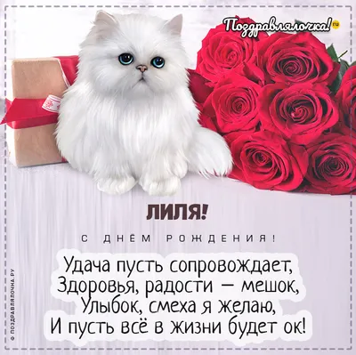 С Днем рождения Лилия, картинки и открытки | Zamanilka