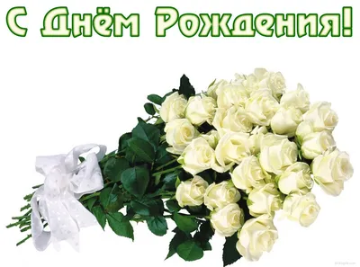 Яндекс.Картинки | Happy birthday flowers wishes, Happy birthday flower,  Alcoholic drinks