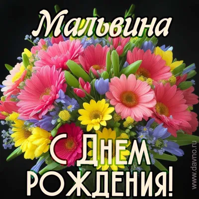 Поздравления с Днём Рождения Мальвина 🌸 Стихи, от Путина (звуковое) на  телефон, проза, открытки