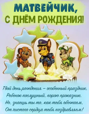 🥳 С днём рождения, Матвей! 27 ноября нападающему «Стальных Лисов» Матвею  Онищенко исполнилось 18 лет! Поздравляем Матвея с днём… | Instagram