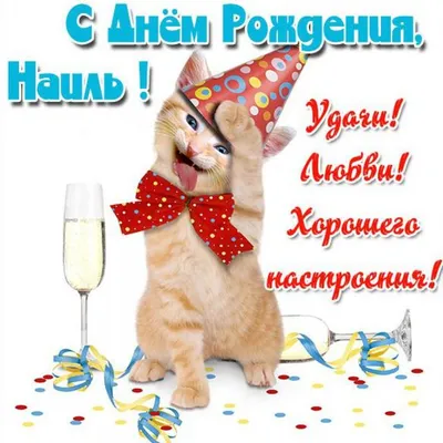С днем рождения, Наиль Минихадыевич! — Федерация Бокса России в КФО