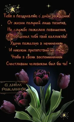 Открытка с именем Наргиза С днем рождения красивая роза с прожилками.  Открытки на каждый день с именами и пожеланиями.
