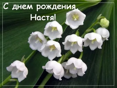 Прикольная открытка с днем рождения Настенька Версия 2 - поздравляйте  бесплатно на otkritochka.net