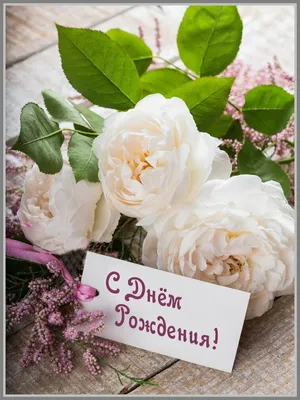 Поздравляем с Днем рождения Нину Владимировну Суслонову! | Матери России