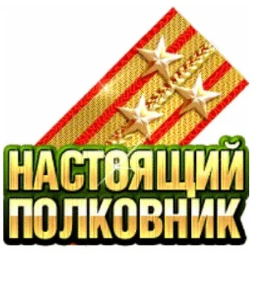 С Днём рождения, Полковник (Владимир Муругов) / Стихи.ру
