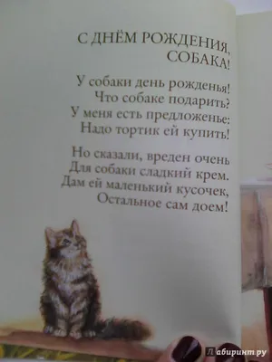 Алдонина Римма Петровна \"С днем рождения, собака!\" — купить в  интернет-магазине по низкой цене на Яндекс Маркете