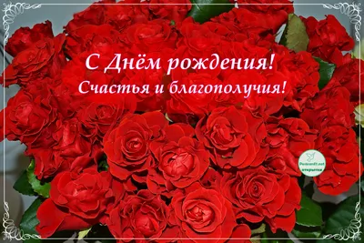 Открытка С Днем рождения! Розы 12,5х19см 10шт/уп 1528-11 – купить за 647  руб | Прагматик