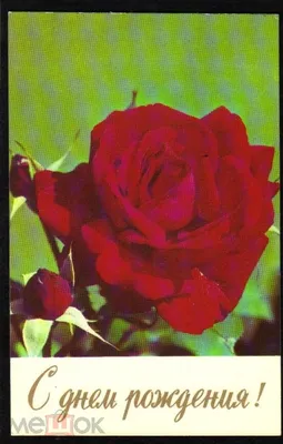Топпер пластиковый «С Днём рождения» розы - Цена в Москве