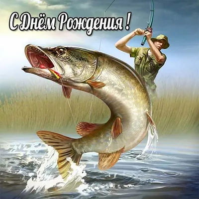 Букет из рыбы, сушенной купить в Волгограде с бесплатной доставкой 24  часа-volgograd.rubukety.ru
