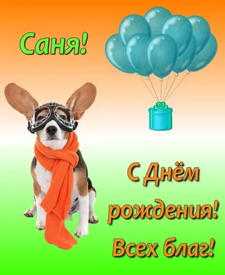 Купить подарочный набор чая Подарок и точка С днем рождения Саша, 12 шт,  цены на Мегамаркет | Артикул: 600012637368