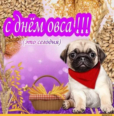 СЁМА Dushanbe - КОНКУРС от \"СЁМЫ\" В честь празднования... | Facebook