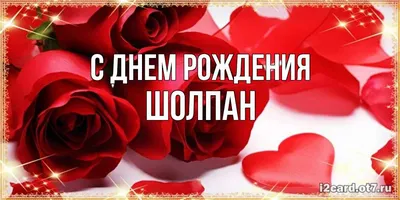 С ДНЁМ РОЖДЕНИЯ 🌷💐🌺 #деньрождения #поздравлениесднёмрождения #сднем... |  TikTok