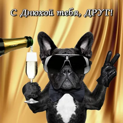смешные поздравления с днем рождения другу | ВКонтакте