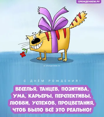 Смешная открытка с Днём Рождения с прикольным котом и стишком • Аудио от  Путина, голосовые, музыкальные