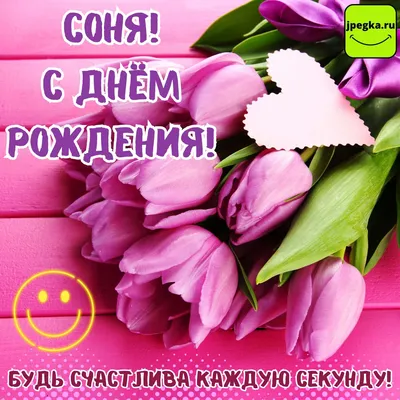 Сделать видео поздравление с днем рождения, Соня — Slide-Life.ru