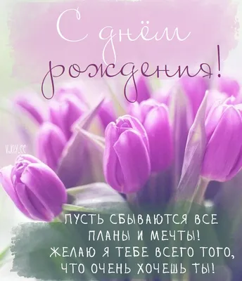 стильные открытки с днем рождения: 5 тыс изображений найдено в  Яндекс.Картинках | Happy birthday flowers wishes, Happy birthday flower,  Happy birthday bouquet