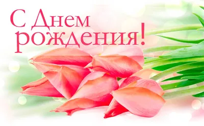 Поздравляем с Днём рождения Светлану Александровну Недилько! | Матери России