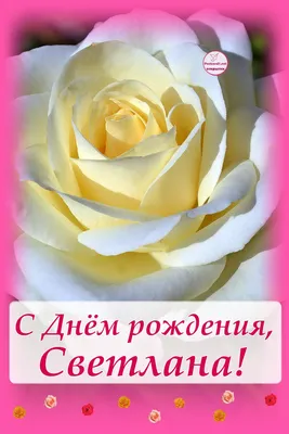 С днем рождения Светлана Петровна открытки - 74 фото