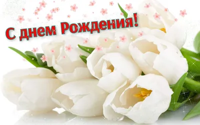 С Днем рождения, Светлана Владимировна!