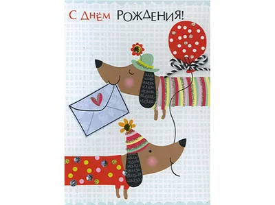 Pin en Dachshund congratulations