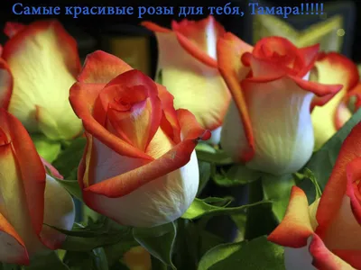 Картинка для поздравления с Днём Рождения Тамаре - С любовью, Mine-Chips.ru