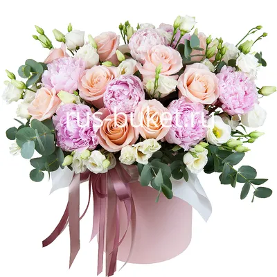 25 роз в шляпной коробке с топпером (на выбор) доставка в Сургуте |  Bgsurgut.ru
