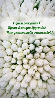 Поздравляем В.В. Гриба с днем рождения! - Издательская группа ЮРИСТ