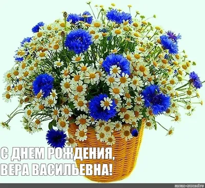 Смешная картинка с днем рождения Вера Версия 2 - поздравляйте бесплатно на  otkritochka.net
