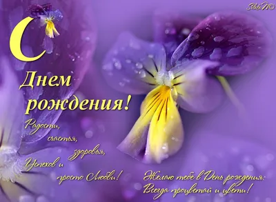 Открытки С Днем Рождения, Вера Валерьевна - красивые картинки бесплатно