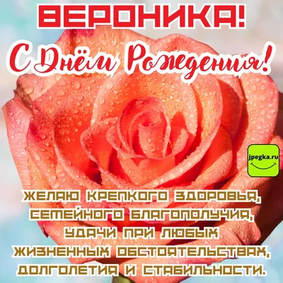 Смешные картинки поздравления С Днем Рождения Вероника (42 фото) 🔥  Прикольные картинки и юмор | С днем рождения, Рождение, Открытки