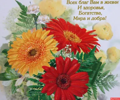 Открытки \"С Днем Рождения!\" с цветами и букетами (259 шт.)
