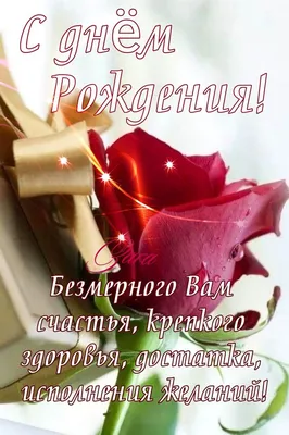 Земфиру с днем рождения необычным способом поздравили фанаты из Волгодонска