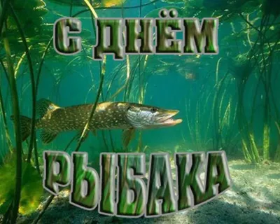 Праздничная, смешная, яркая открытка с днем рыбака - С любовью,  Mine-Chips.ru