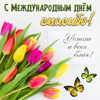 https://kherson-news.ru/society/2024/01/11/255944.html